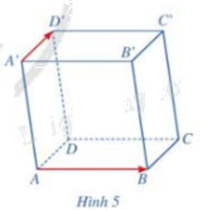 Giải mục 1 trang 50, 51, 52 SGK Toán 12 tập 2 - Cánh diều 1 2