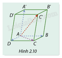 Giải mục 1 trang 55, 56, 57, 58 SGK Toán 12 tập 1 - Cùng khám phá 2 1