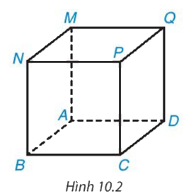 Giải mục 1 trang 86, 87 SGK Toán 7 tập 2 - Kết nối tri thức 2 1