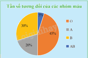 Giải mục 2 trang 34, 35, 36 SGK Toán 9 tập 2 - Chân trời sáng tạo 1
