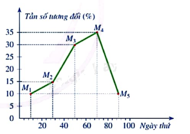 Giải mục 3 trang 28, 29, 30 SGK Toán 9 tập 2 - Cánh diều 3 2