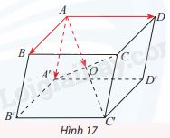 Giải mục 3 trang 46,47,48 SGK Toán 12 tập 1 - Chân trời sáng tạo 0 1