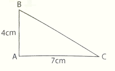 Giải phần B. Kết nối trang 34 Bài tập phát triển năng lực Toán 4 3 1