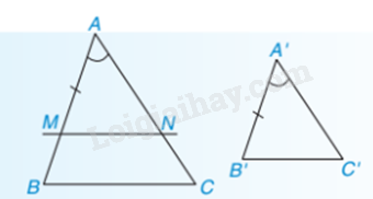 Lý thuyết Ba trường hợp đồng dạng của hai tam giác SGK Toán 8 - Kết nối tri thức 2