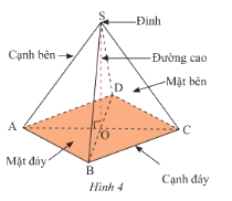 Lý thuyết Hình chóp tứ giác đều SGK Toán 8 - Cánh diều 1