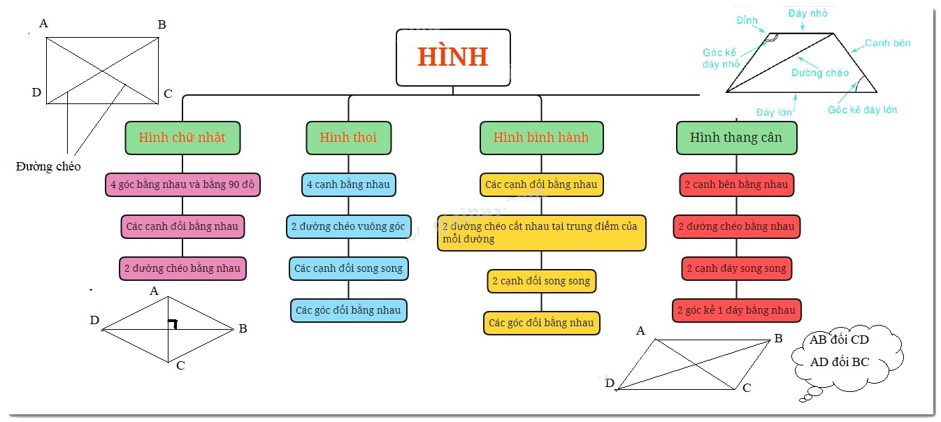Lý thuyết Hình chữ nhật- Hình thoi- Hình bình hành- Hình thang cân Toán 6 Chân trời sáng tạo 10