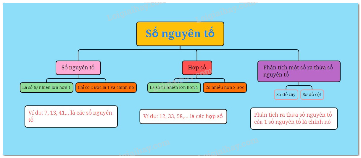 Lý thuyết Số nguyên tố. Hợp số Toán 6 Cánh diều 1