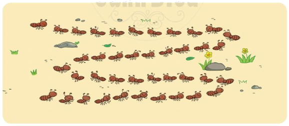 Ôn tập các số đến 100 (trang 6, 7) 3 2