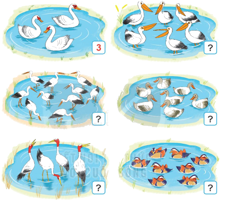 Toán lớp 1 trang 14 - Bài 2: Các số 6, 7, 8, 9, 10 - SGK Kết nối tri thức 3 1