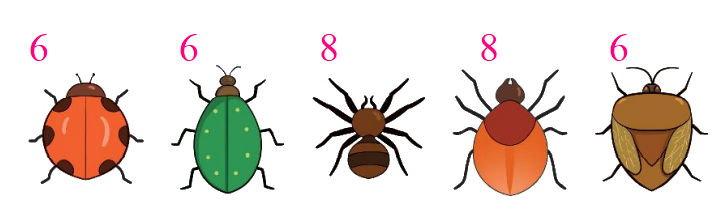 Toán lớp 1 trang 14 - Bài 2: Các số 6, 7, 8, 9, 10 - SGK Kết nối tri thức 5 2