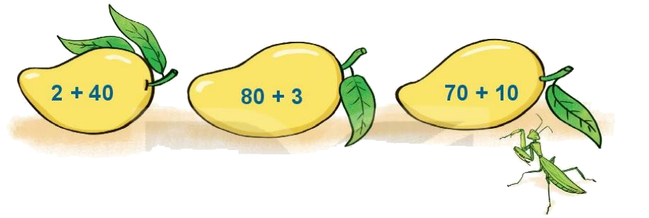 Toán lớp 1 trang 48 - Bài 30: Phép cộng có hai chữ số với số có hai chữ số - SGK Kết nối tri thức 5 1