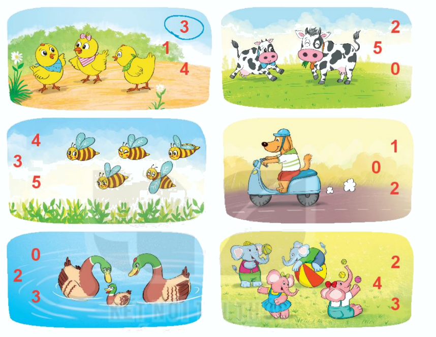 Toán lớp 1 trang 8 - Bài 1: Các số 0, 1, 2, 3, 4, 5 - SGK Kết nối tri thức 7 1