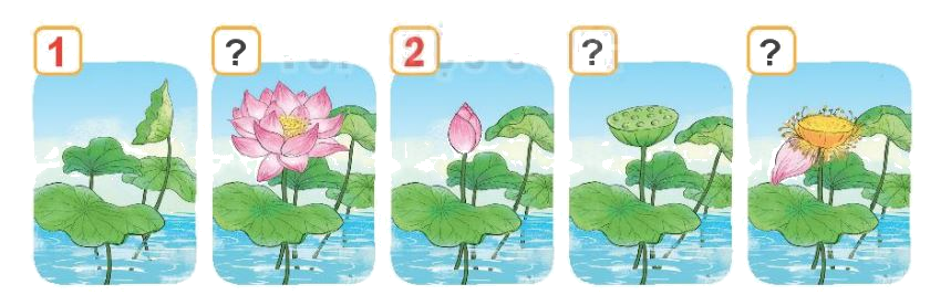 Toán lớp 1 trang 88 bài 38: Ôn tập các số và phép tính trong phạm vi 10 - SGK Kết nối tri thức 5