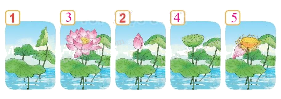 Toán lớp 1 trang 88 bài 38: Ôn tập các số và phép tính trong phạm vi 10 - SGK Kết nối tri thức 6