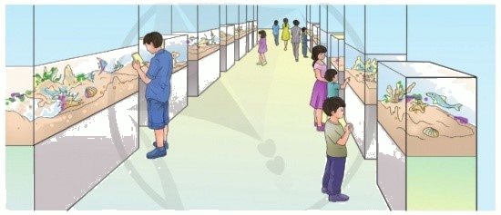 Toán lớp 3 trang 105 - Ôn tập về số và phép tính trong phạm vi 100 000 - SGK Cánh diều 6 1