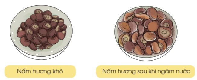 Toán lớp 3 trang 119 - Ôn tập hình học và đo lường - SGK Cánh diều 5 1