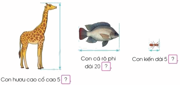 Toán lớp 3 trang 12 - Mi-li-mét - SGK Cánh diều 2 1