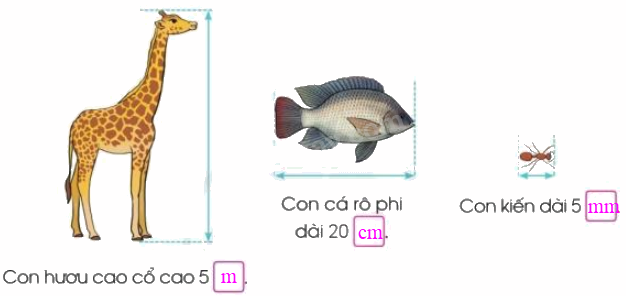 Toán lớp 3 trang 12 - Mi-li-mét - SGK Cánh diều 2 2