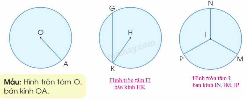 Toán lớp 3 trang 24 - Hình tròn, tâm, đường kính, bán kính - SGK Cánh diều 0 3