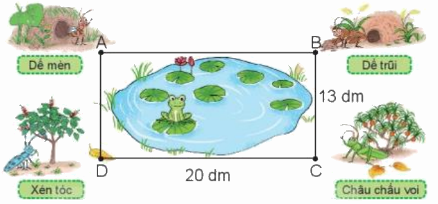 Toán lớp 3 trang 57 - Hình tam giác, hình tứ giác. Hình chữ nhật, hình vuông - SGK Kết nối tri thức 15