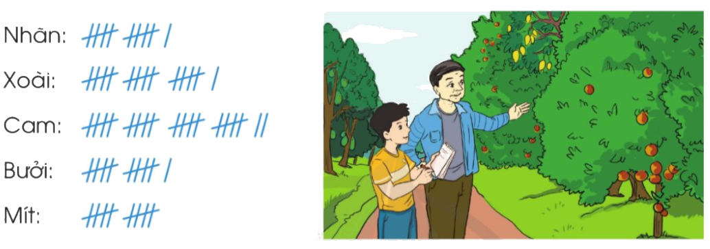 Toán lớp 4 trang 96 - Bài 95: Ôn tập về một số yếu tố thống kê và xác suất - SGK Cánh diều 0 1