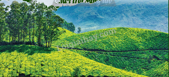 Toán lớp 5 Bài 13. Héc-ta - SGK chân trời sáng tạo 4 1