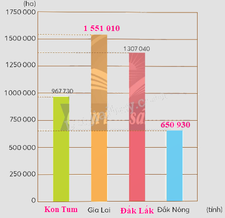 Toán lớp 5 Bài 16. Em làm được những gì - SGK chân trời sáng tạo 10 4
