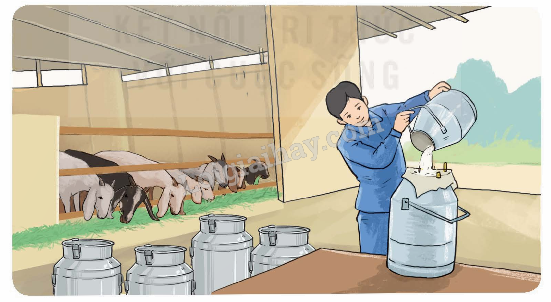 Toán lớp 5 Bài 19. Phép cộng số thập phân - SGK kết nối tri thức 5 1