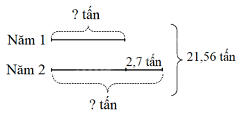 Toán lớp 5 Bài 24. Luyện tập chung - SGK kết nối tri thức 7 2