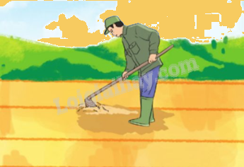 Toán lớp 5 Bài 71. Luyện tập - SGK cánh diều 3 1