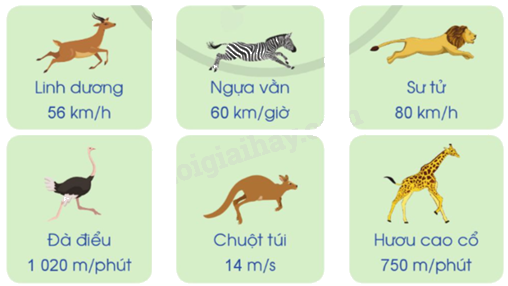 Toán lớp 5 Bài 72. Vận tốc - SGK cánh diều 3 1
