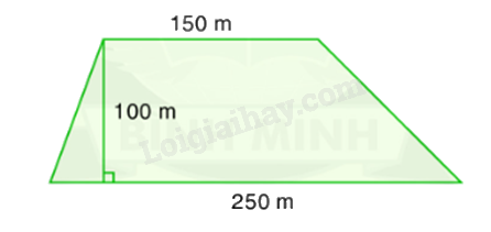 Toán lớp 5 Bài 73. Luyện tập - SGK Bình Minh 2 1