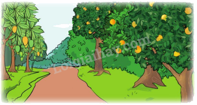 Toán lớp 5 Bài 8. Tìm hai số khi biết hiệu và tỉ số của hai số đó - SGK cánh diều 2 1