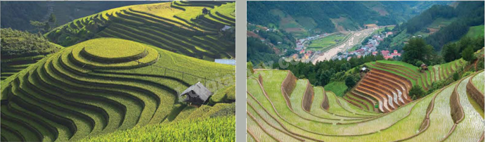 Toán lớp 5 Bài 94. Ôn tập hình phẳng và hình khối - SGK chân trời sáng tạo 4 1