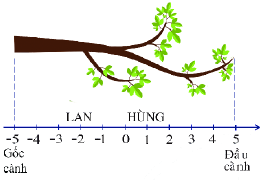 Trả lời Hoạt động 2 trang 72 SGK Toán 6 Chân trời sáng tạo 0 3
