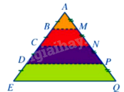 Trắc nghiệm Bài 10: Hình đồng dạng trong thực tiễn Toán 8 Cánh diều 0 1
