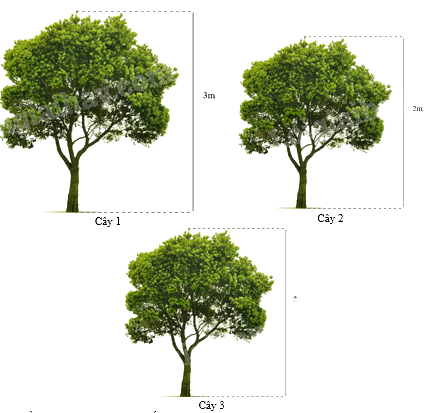 Trắc nghiệm Bài 10: Hình đồng dạng trong thực tiễn Toán 8 Cánh diều 0 17