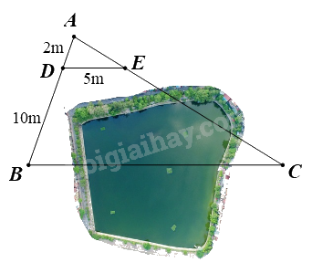 Trắc nghiệm Bài 15: Định lí Thalès trong tam giác Toán 8 Kết nối tri thức 0 9
