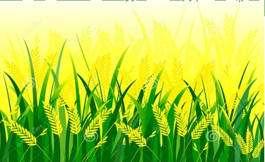 Trắc nghiệm Bài 17: Bài toán liên quan đến rút về đơn vị Toán 4 Cánh diều 0 5