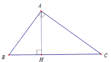 Trắc nghiệm Bài 34: Ba trường hợp đồng dạng của hai tam giác Toán 8 Kết nối tri thức 0 24