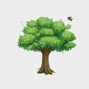Trắc nghiệm Bài 39: Chia cho 10, 100, 1 000, ... Toán 4 Cánh diều 0 8