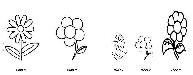 Trắc nghiệm Bài 4: Hai hình đồng dạng Toán 8 Chân trời sáng tạo 0 16