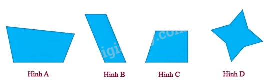 Trắc nghiệm Bài 55: Hình thoi Toán 4 Chân trời sáng tạo 0 1